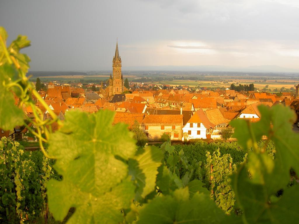 Appartement Haensler Dambach-la-Ville Luaran gambar